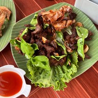 ครัวกันยารัตน์แกงป่า (304) คลองรั้ง(สายใน)