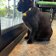 Snaily ชลบุรี