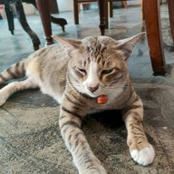 Jidrid Cafe Nong chok