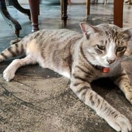 Jidrid Cafe Nong chok