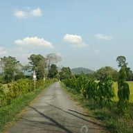 The Tropical Eco cafe