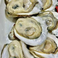 หอยนางรมสุราษฎร์ bkk เจริญนคร เจริญนคร