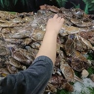 เมนูของร้าน อาป๋า บางบอน