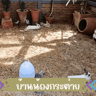 ครัวพัมคิน อาร์ต ทาวน์ Pumpkin Art Town สามโคก ปทุมธานี