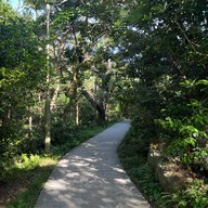 บรรยากาศ The Wisdom Path