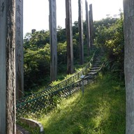 บรรยากาศ The Wisdom Path