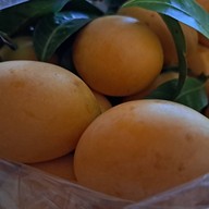 เมนูของร้าน มะยงชิด อุไร