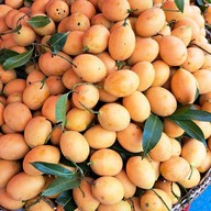 เมนูของร้าน มะยงชิด อุไร