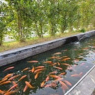 คลองหลวง คาเฟ่