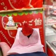 Strawberry Mania Dotomburi