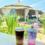 The Peak Flower Land -