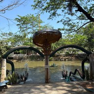 บรรยากาศ วัดช้างเผือก
