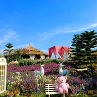 The Peak Flower Land -