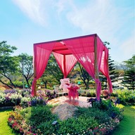 The Peak Flower Land -