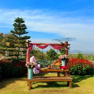 The Peak Flower Land -