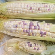 ฟรุ๊ตตี้เฮ้าส์ ผลไม้ดอง ผลไม้สด น้ำผลไม้ปั่น อ่อนนุช72