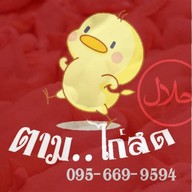 ตาม ไก่สด แช่แข็ง ฮาลาล พรีโน่