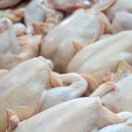 ตาม ไก่สด แช่แข็ง ฮาลาล พรีโน่