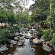 วังตะไคร้