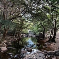 วังตะไคร้