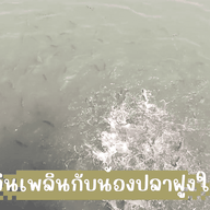 บรรยากาศ บ้านทองกลับ
