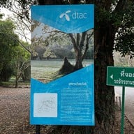 วังตะไคร้