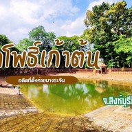 วัดโพธิ์เก้าต้น