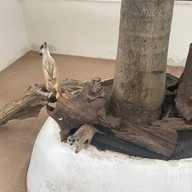 Bluegold Roaster ถ.ประดิษฐ์มนูธรรม