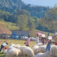 บรรยากาศ Abonzo Yama Mitsu