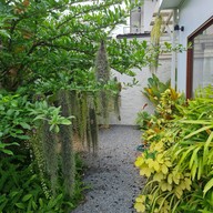 บรรยากาศ 6 Nature Specialty Cafe ถนน กาญจนาภิเษก