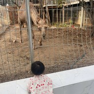 Bluegold Roaster ถ.ประดิษฐ์มนูธรรม