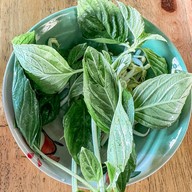 เตี๋ยวเรือยุดยา สาขา 64 รังสิต สาขา 64