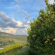 สวนส้มจินจู JINJU the orange farm