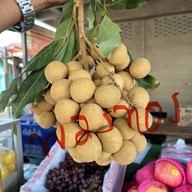 ธนภรณ์ผลไม้สด