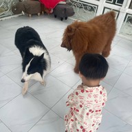 Bluegold Roaster ถ.ประดิษฐ์มนูธรรม