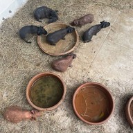 Bluegold Roaster ถ.ประดิษฐ์มนูธรรม