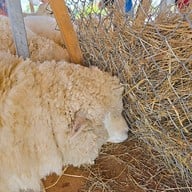 บรรยากาศ Abonzo Yama Mitsu