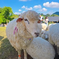 บรรยากาศ Abonzo Yama Mitsu