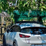 ก๋วยเตี๋ยวสุดซอย