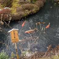 Tenryuji temple