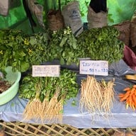 ดอยอ่างขาง