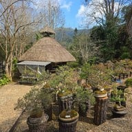 ดอยอ่างขาง