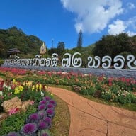 ดอยอ่างขาง