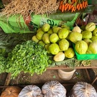 ดอยอ่างขาง