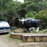 บรรยากาศ อุทยานแห่งชาติเขาแผงม้า นครราชสีมา