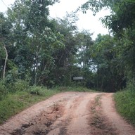 บรรยากาศ อุทยานแห่งชาติเขาแผงม้า นครราชสีมา