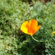 บรรยากาศ สถานีวิจัยเกษตรที่สูงสันป่าเกี๊ยะ