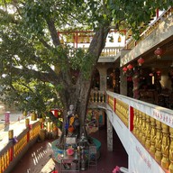 วัดไฮตังม่า (ศาลจ้าวแม่เขาสามมุข)