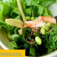 Mr.T อาหารสุขภาพ