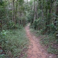 บรรยากาศ อุทยานแห่งชาติเขาแผงม้า นครราชสีมา